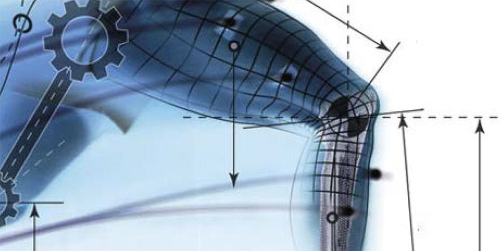 Resistance training: analisi comparativa tra il protocollo di esercizi multiarticolari e monoarticolari