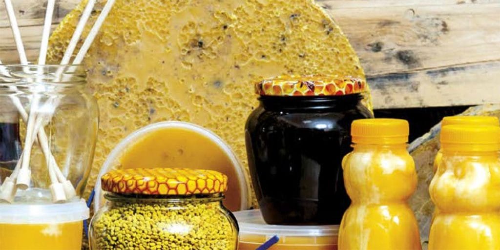 La propoli: alimento, integratore o farmaco