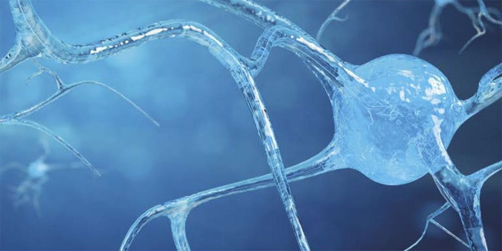 La scoperta dei neuroni specchio: atto motorio e gesto motorio